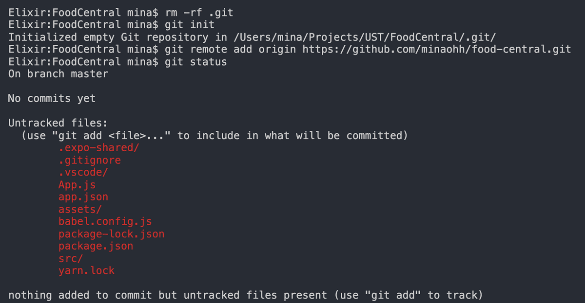 Initialize Git Repository